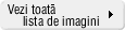Vezi toata lista de imagini