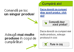 Cum cumpar - Modalitati de comanda: direct sau prin cos